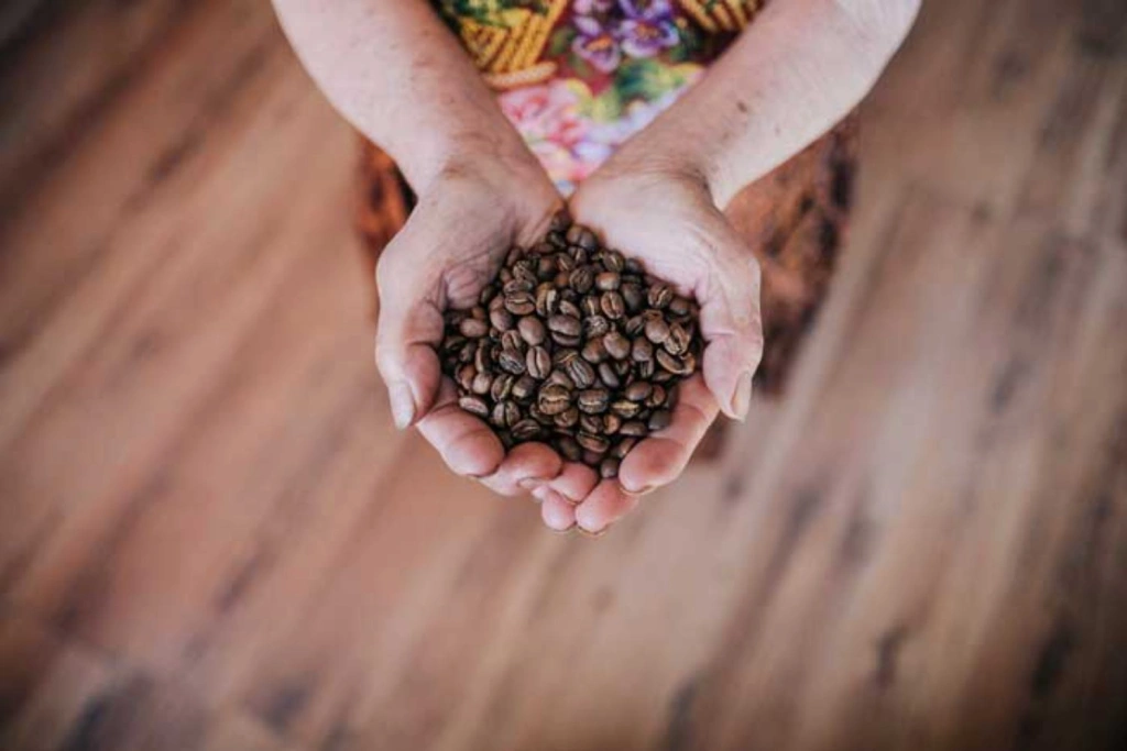 Person holding a handful of roasted coffee beans