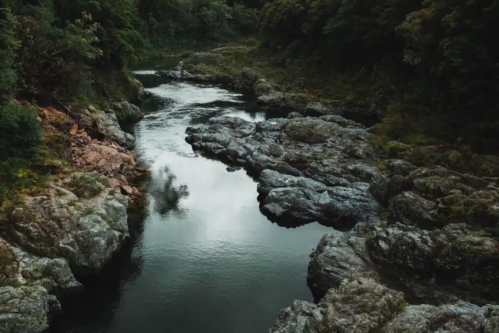 Scenic river flowing through a rocky forest canyon